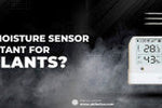 How is Soil Moisture Sensor Important for the Plants?