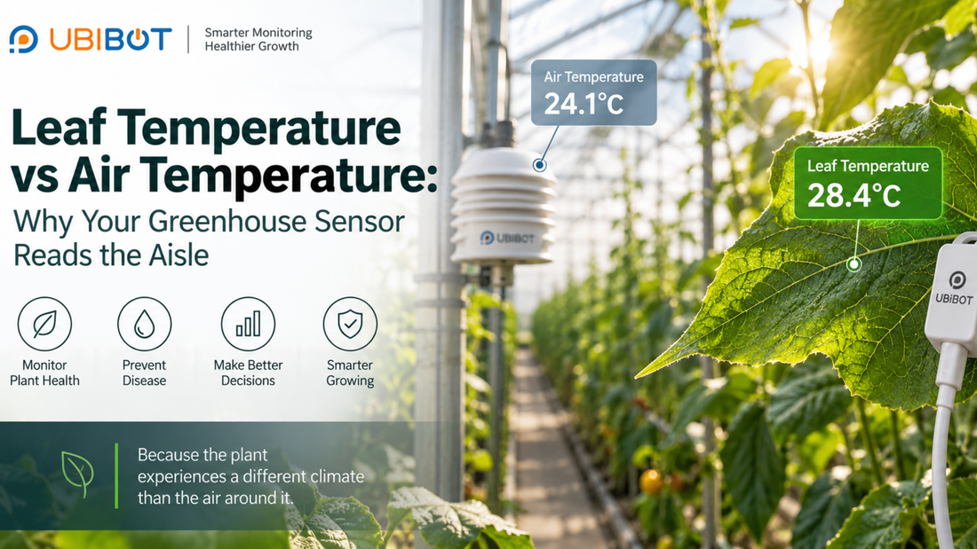 Leaf Temperature vs Air Temperature: Why Your Greenhouse Sensor Reads the Aisle
