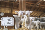The importance of monitoring the environment in intelligent livestock farming.